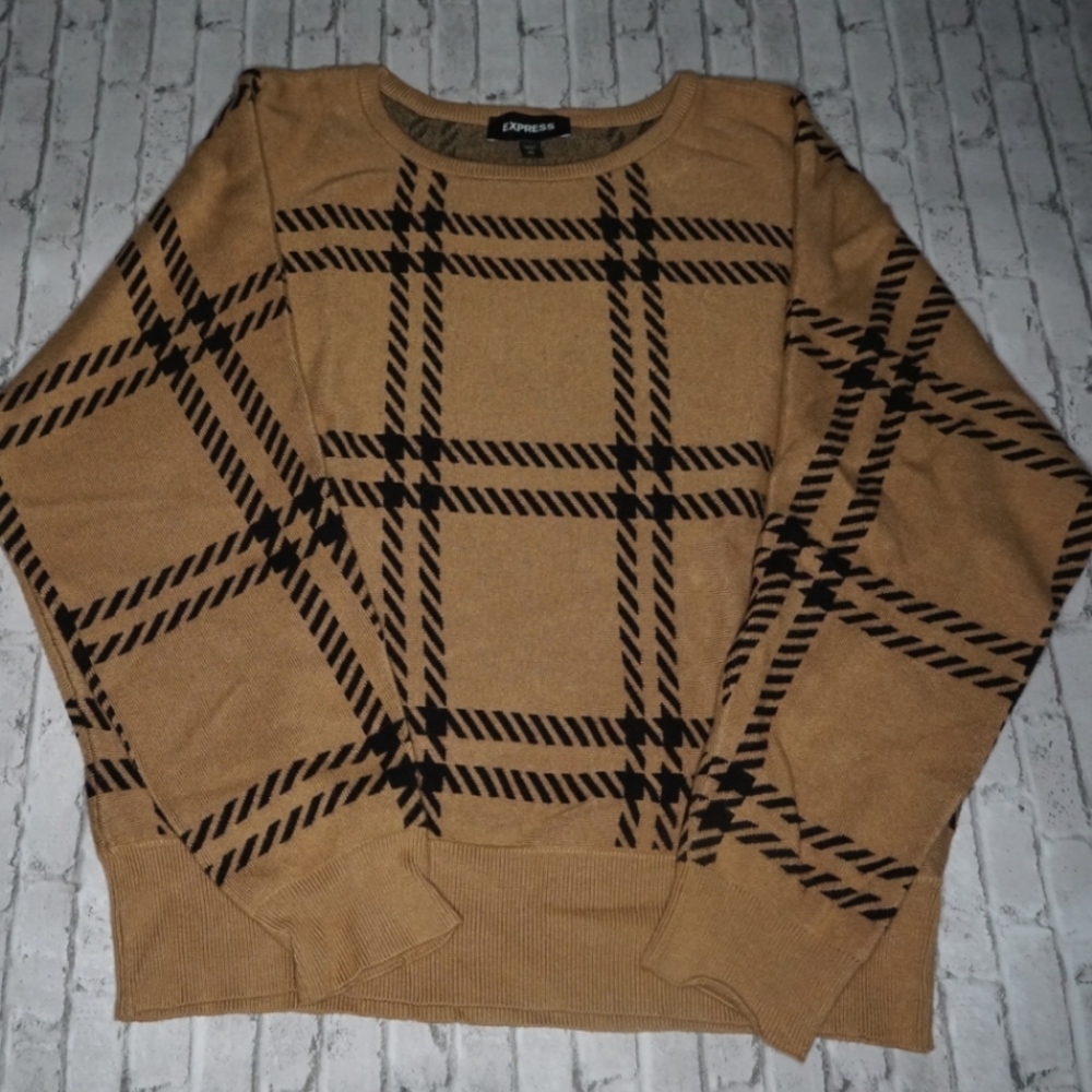 Sweater from express
